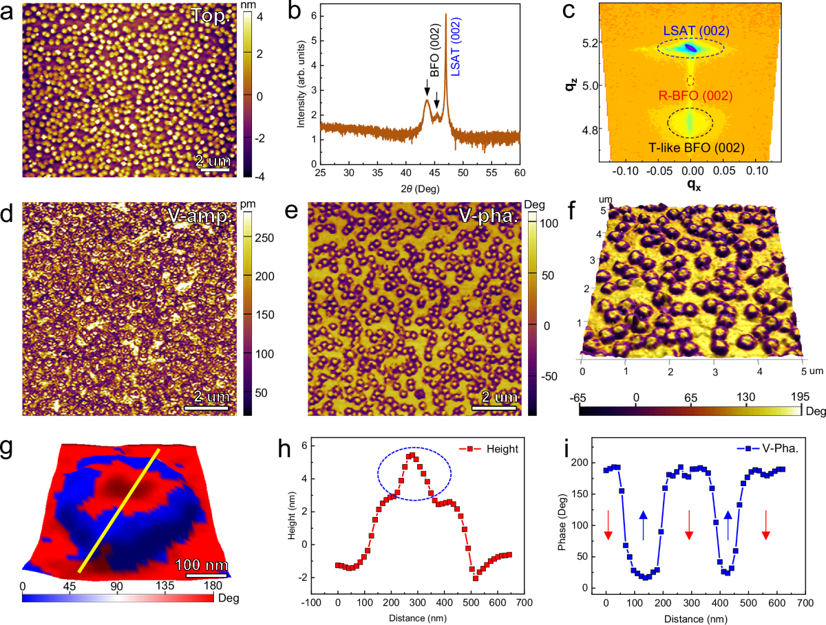 Observation of multi-order polar radial vortices and their topological  transition | Nature Communications