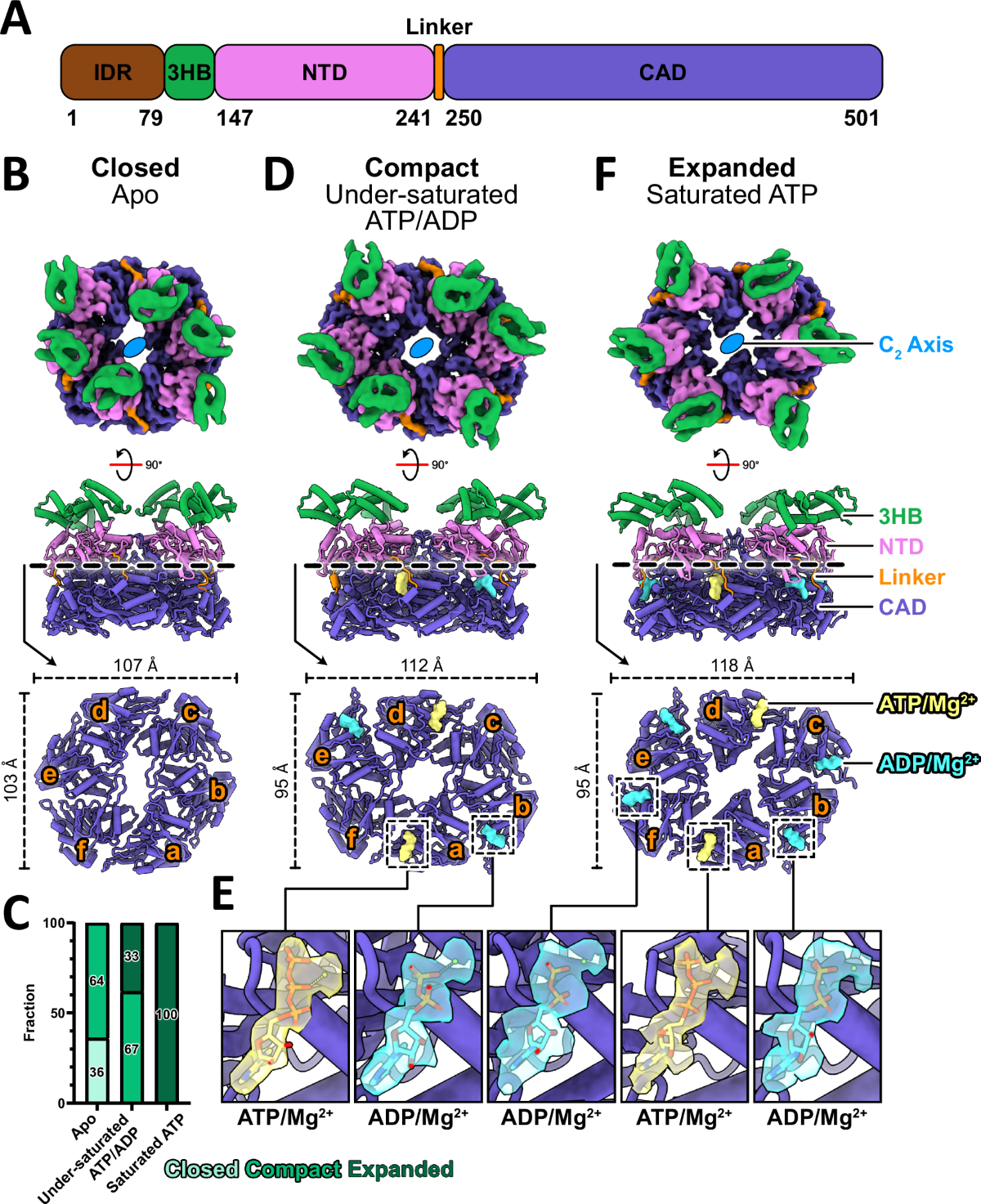 100 nzd to ntd (92) 사진