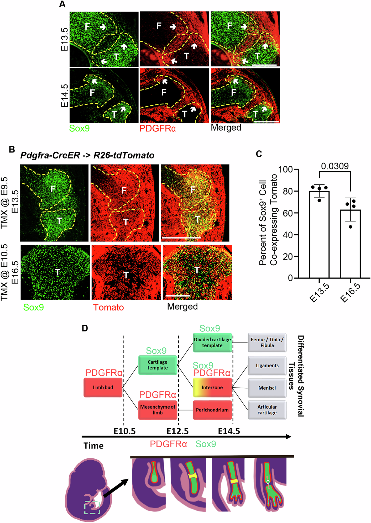 National Aeronautics and Space Administration (NASA) Report on Episodes  from American History Where the Federal Government Foste, image size:1200x1693