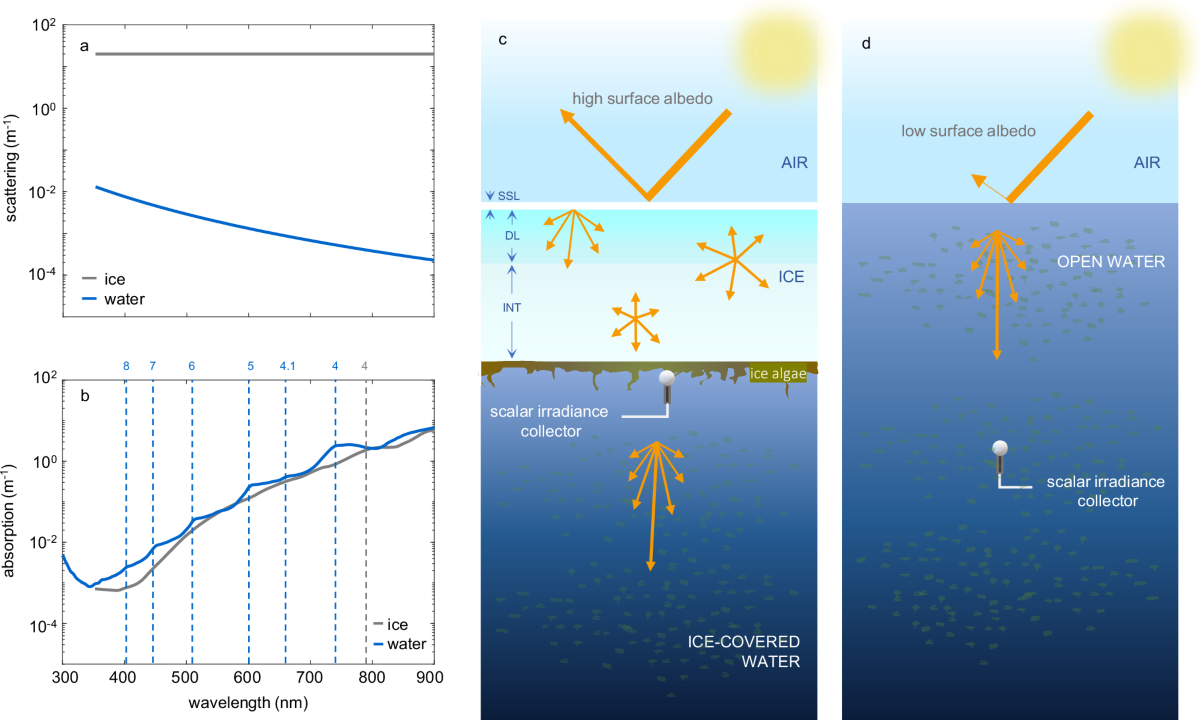 Loss of sea ice alters light spectra for aquatic photosynthesis | Nature  Communications