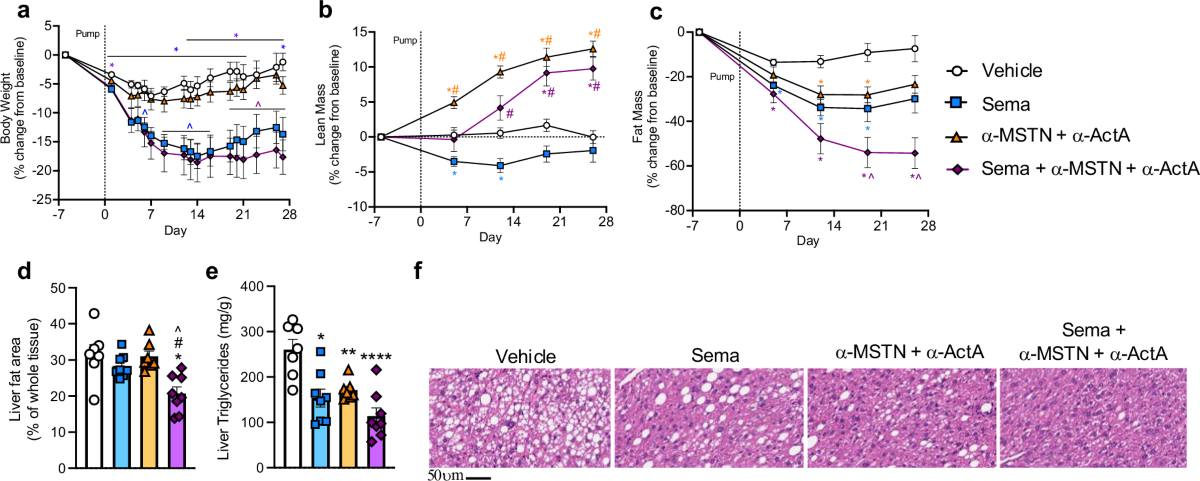 semaglutide trevogrumab garetosmab GDF8 and activin A blockade protects against GLP-1–induced muscle loss  while enhancing fat loss in obese male mice and non-human primates