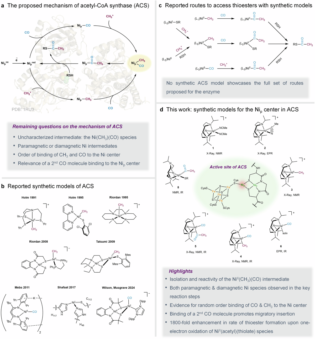 Solved 1. Show how loss of a proton can be represented using | Chegg.com, image size:1200x1291