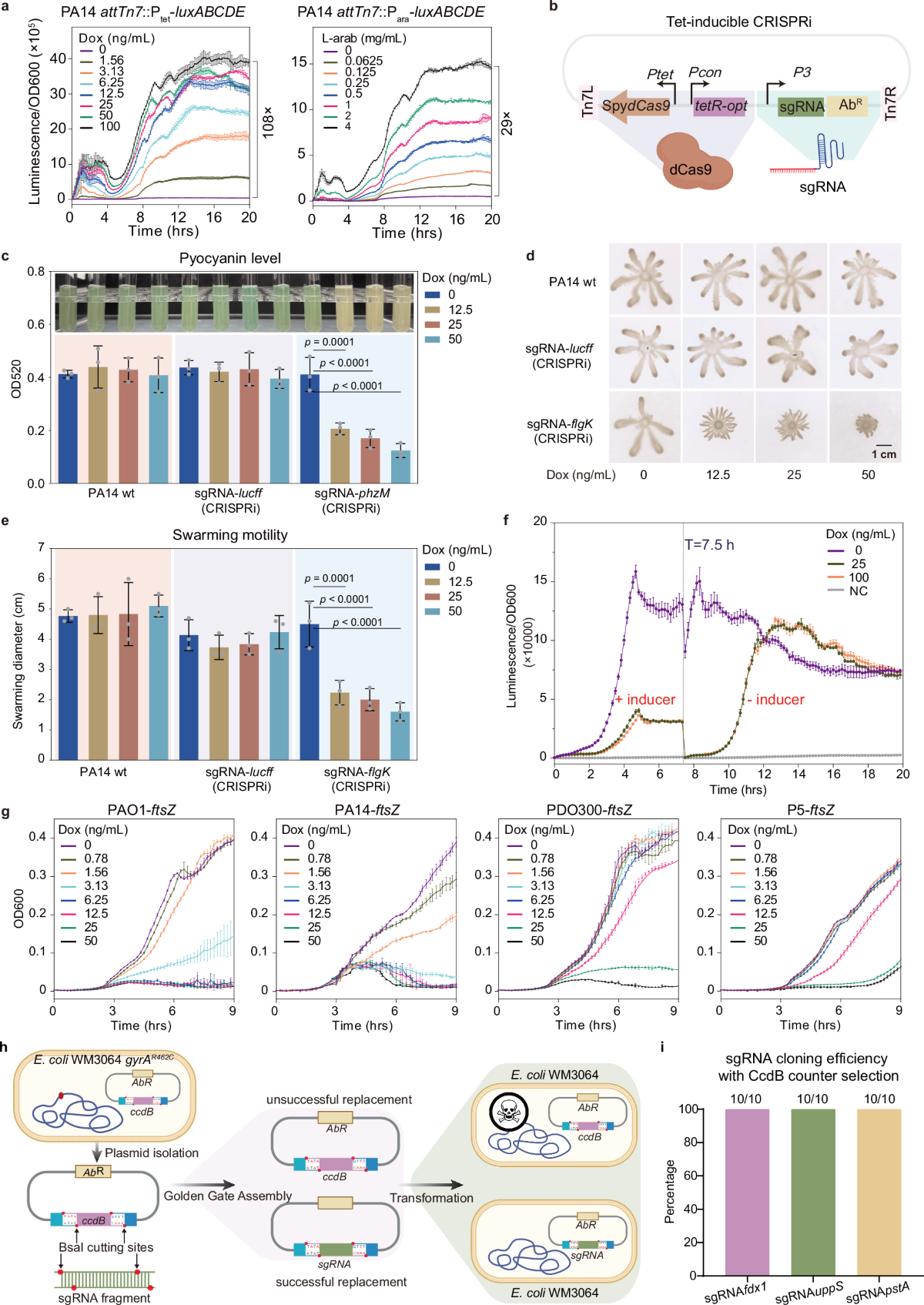 CRISPRi screen identifies FprB as a synergistic target for gallium therapy  in Pseudomonas aeruginosa | Nature Communications