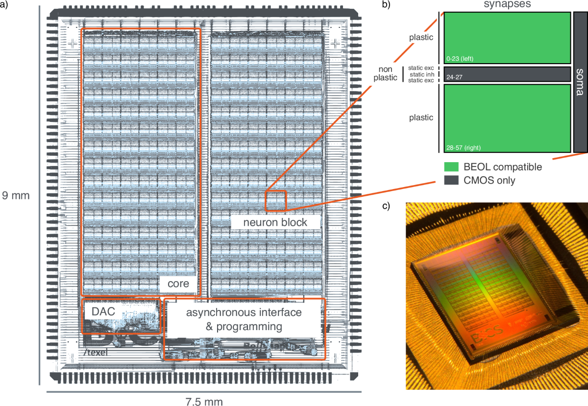 A neuromorphic processor with on-chip learning for beyond-CMOS device  integration | Nature Communications
