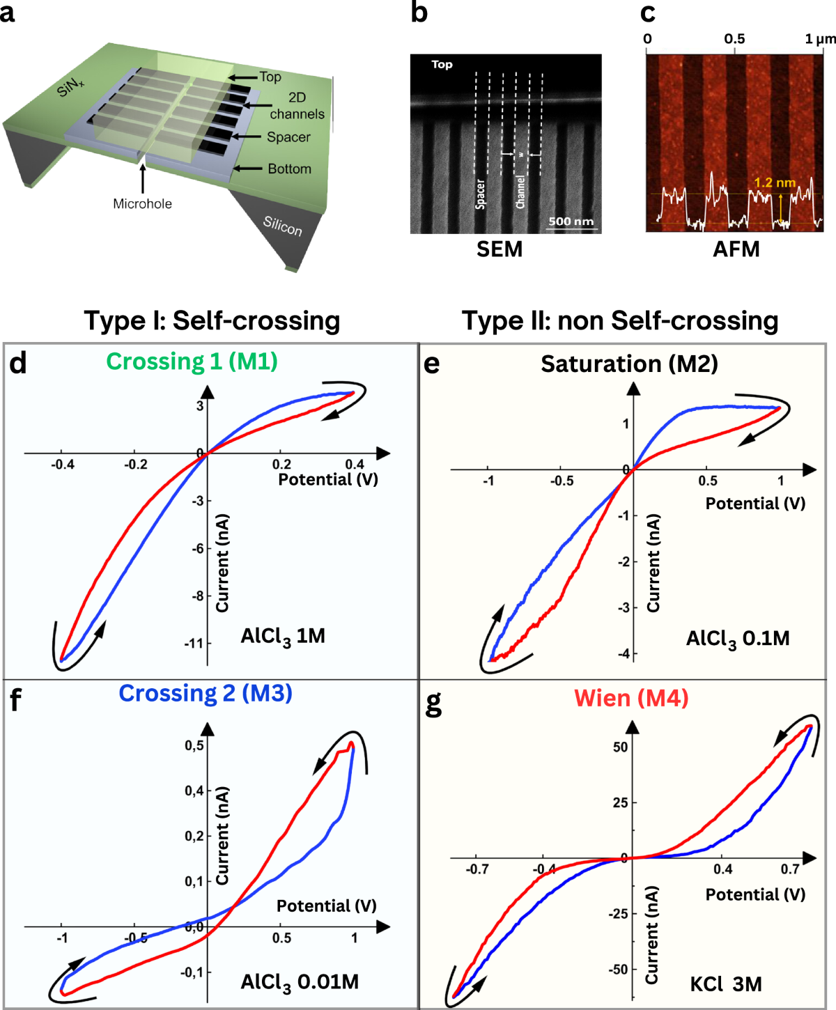 Programmable memristors with two-dimensional nanofluidic channels 