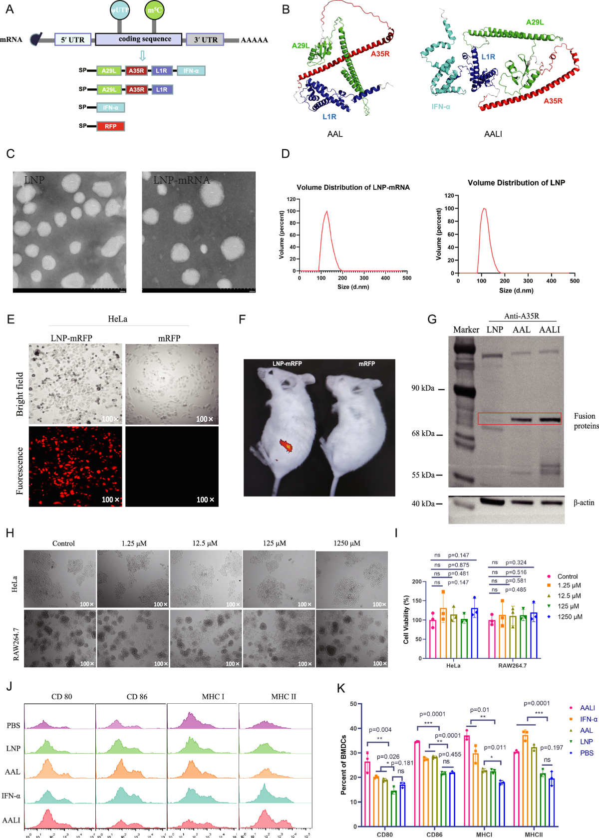 A multivalent mRNA vaccine elicits robust immune responses and confers  protection in a murine model of monkeypox virus infection | Nature  Communications