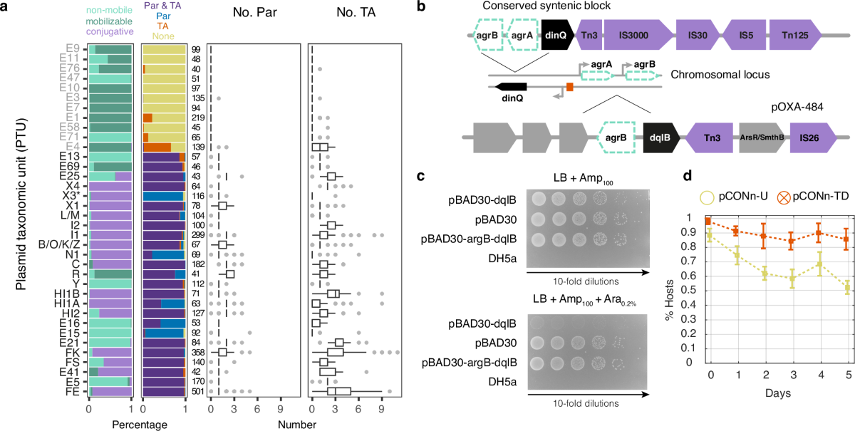 How Do Toxin Antitoxin Systems Contribute to Plasmid Maintenance: Key Insights