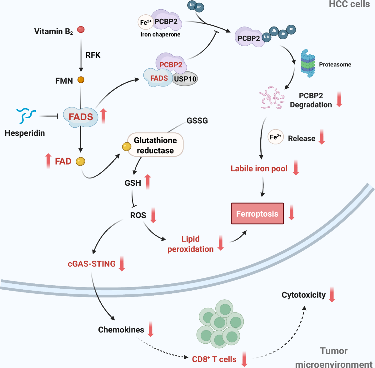 2012 glutathione alzheimer's disease five authors Frontiers 2012 glutathione alzheimer's disease five authors Frontiers