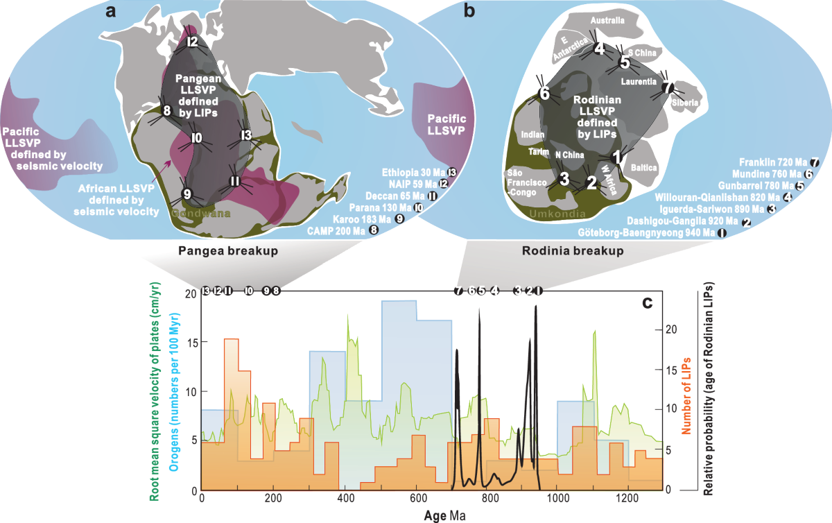 Basal mantle structure regenerated through supercontinents | Nature  Communications