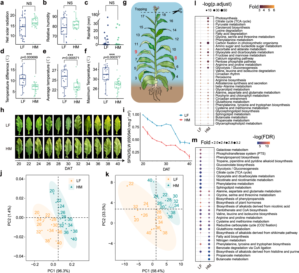 Multi-omics analyses reveal regulatory networks underpinning metabolite  biosynthesis in Nicotiana tabacum | Nature Communications