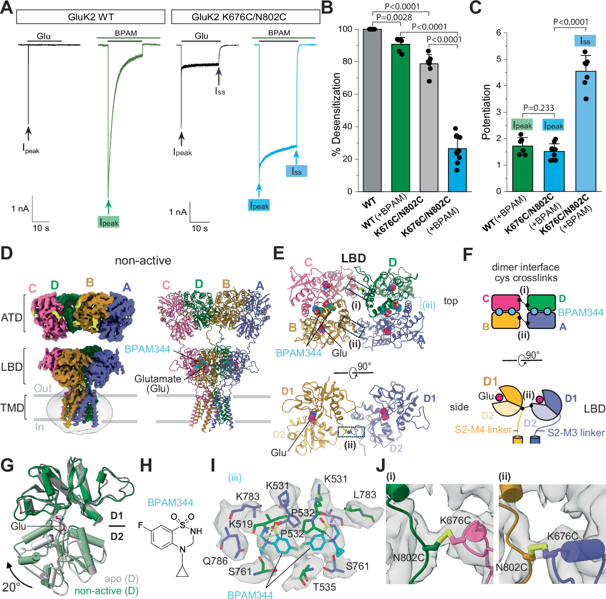 glutathione peroxidase 4 Prospects for Anti-Tumor Mechanism and Potential Clinical Application Based on Mediated Ferroptosis Volume:8 Buy BPC-157 Capsules France Tópico Peptido