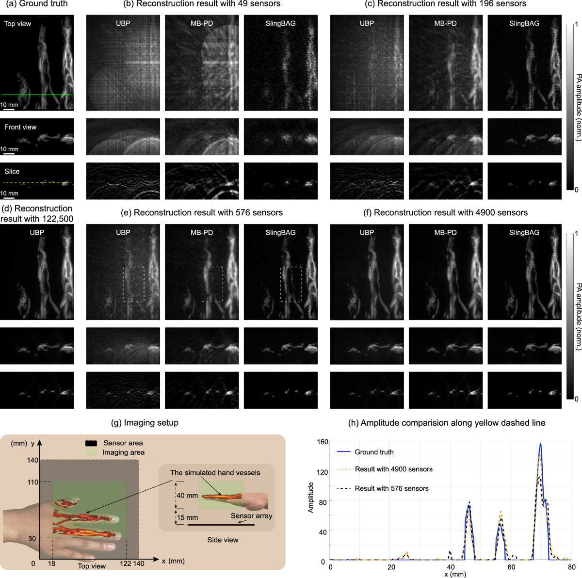 SlingBAG: point cloud-based iterative algorithm for large-scale 3D  photoacoustic imaging | Nature Communications