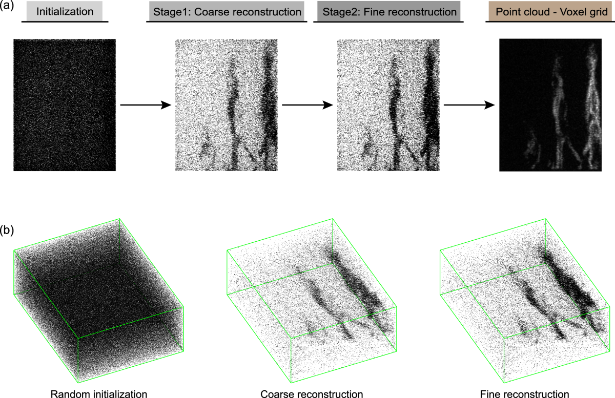 SlingBAG: point cloud-based iterative algorithm for large-scale 3D  photoacoustic imaging | Nature Communications