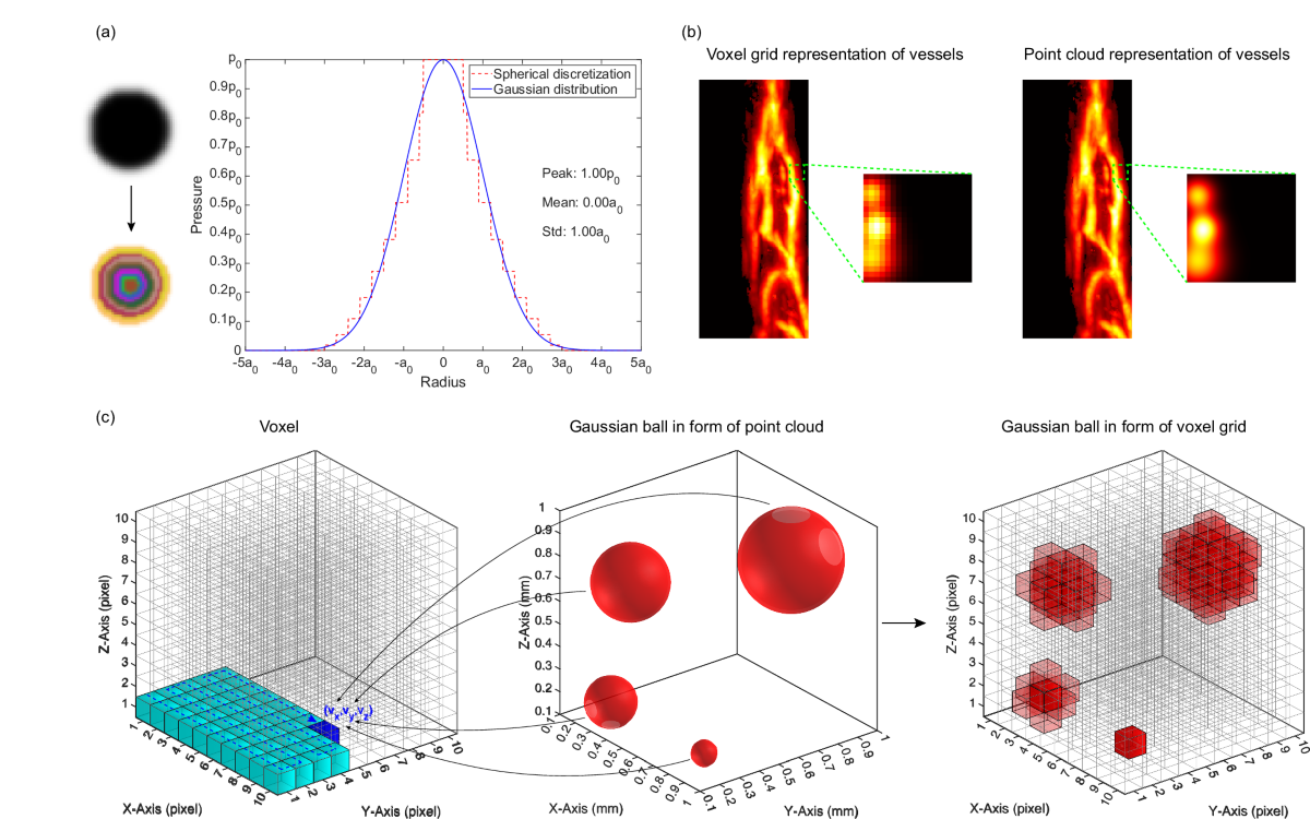 SlingBAG: point cloud-based iterative algorithm for large-scale 3D  photoacoustic imaging | Nature Communications