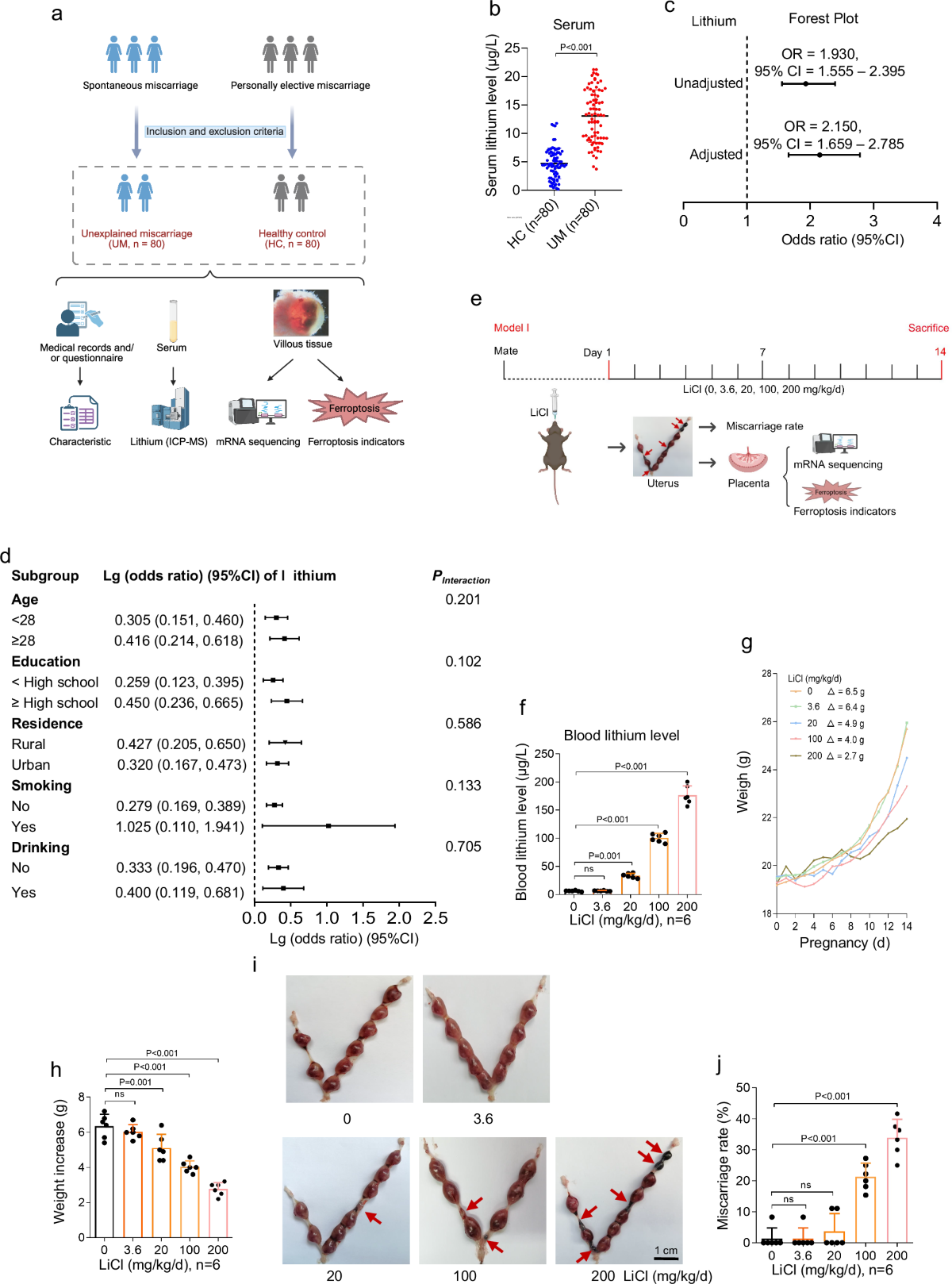 can glutathione cause miscarriage Lithium exposure causes ferroptosis to induce unexplained miscarriage  through non-canonical MBOAT1 pathway