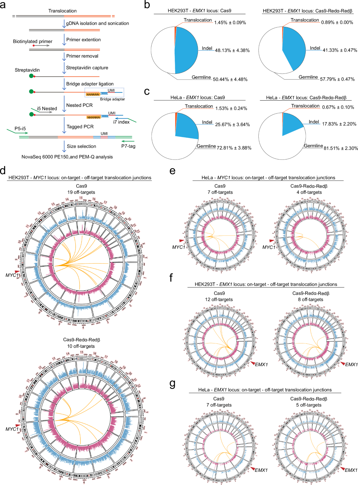 Efficient high-precision transgene knock-in by Recombinases  (Redα/β)-enhanced DNA integration-CRISPR-Cas9 (RED-CRISPR) | Nature  Communications
