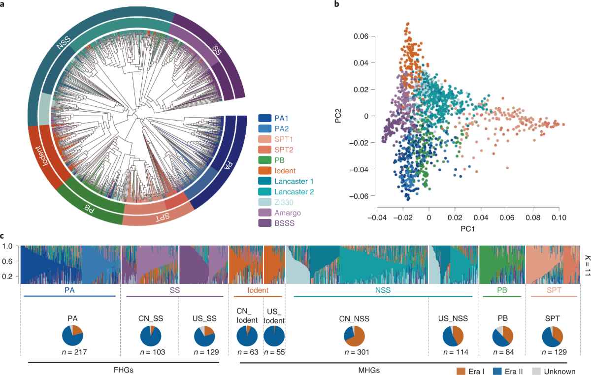 Genomic insights into historical improvement of heterotic groups during  modern hybrid maize breeding | Nature Plants