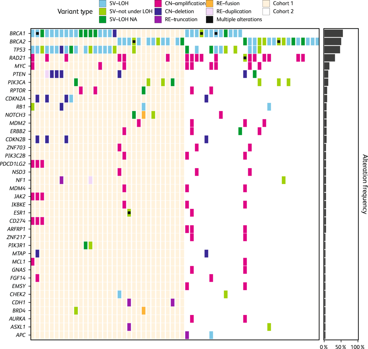 Genomic analysis of advanced breast cancer tumors from talazoparib-treated  gBRCA1/2mut carriers in the ABRAZO study | npj Breast Cancer