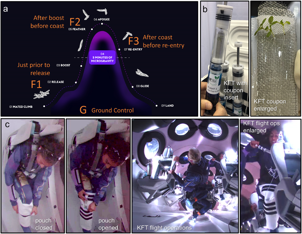 Transcriptomic dynamics in the transition from ground to space are revealed  by Virgin Galactic human-tended suborbital spaceflight | npj Microgravity