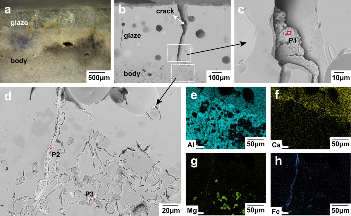o7.is.pp.ru naked Studies on Effects of Air Pollut ，αnt Mixtures on PI αnts