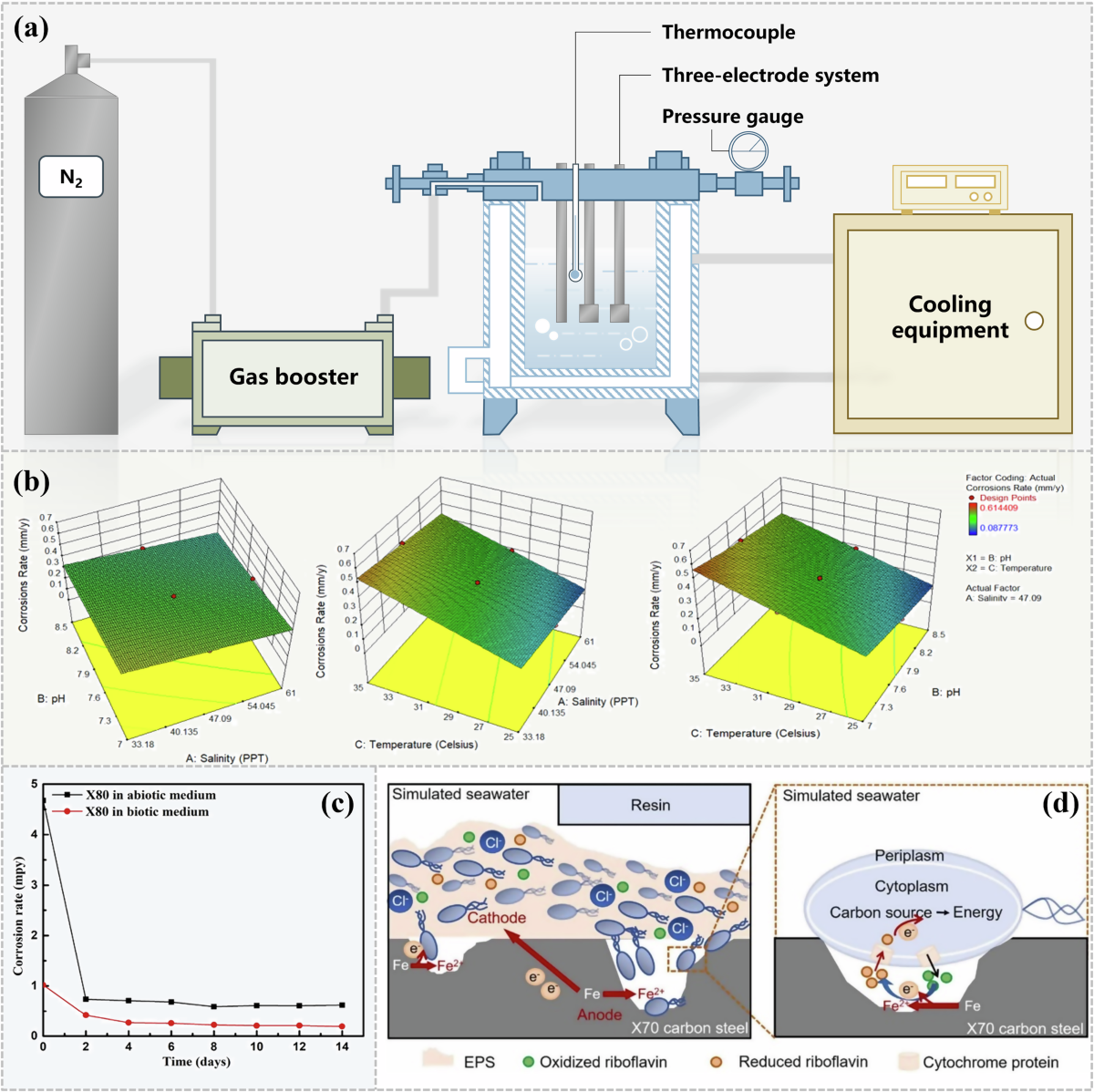 Smart material design via accelerated corrosion evaluation: convergence of  high-throughput characterization and AI-driven prediction in marine  engineering | npj Materials Degradation