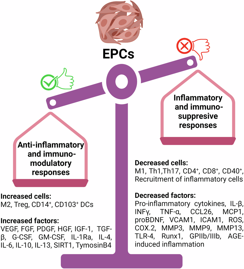 Anti-inflammatory Prowess of endothelial progenitor cells in the realm of  biology and medicine