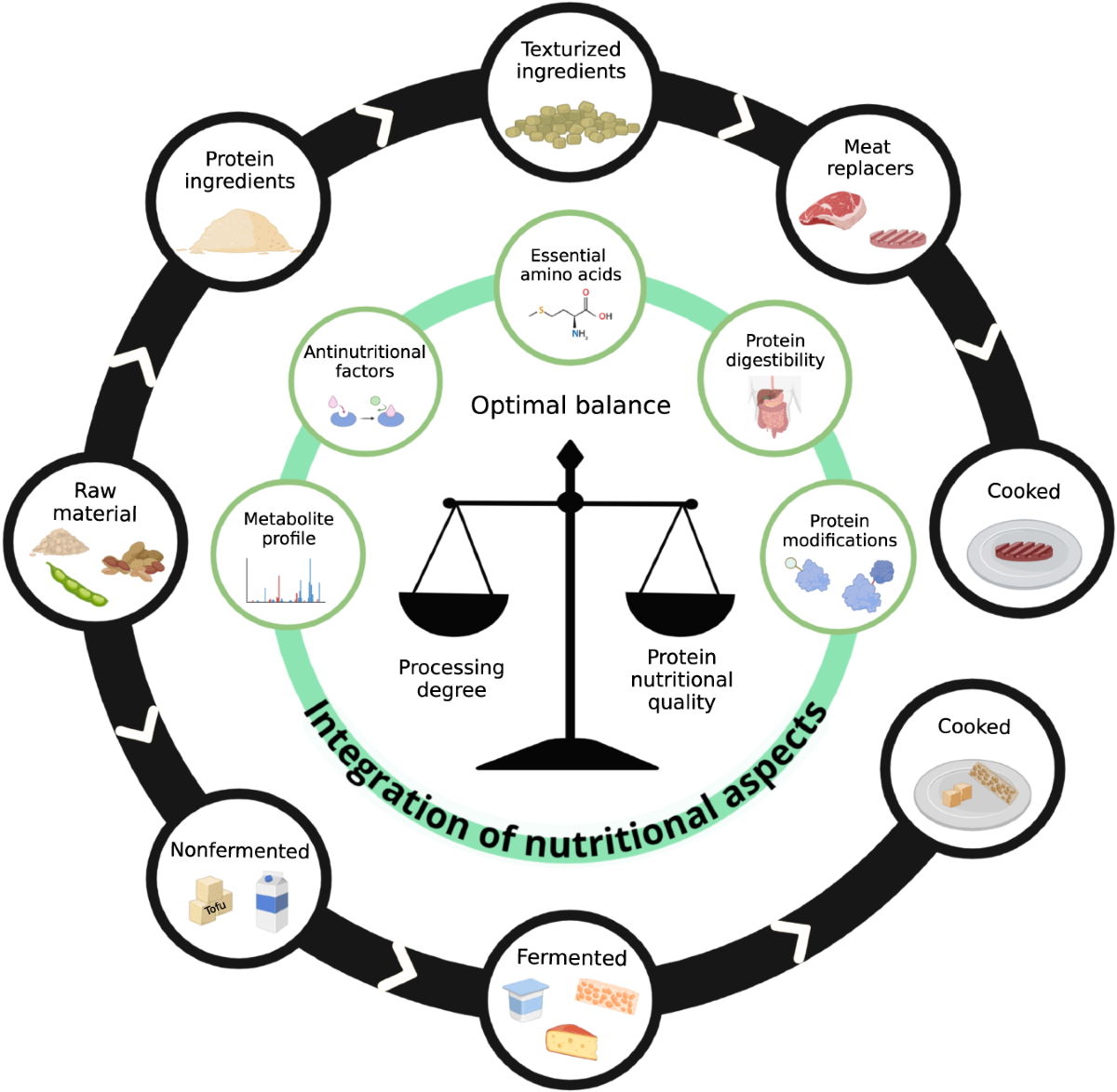 The sustainability paradox of processing plant proteins | npj Science of  Food