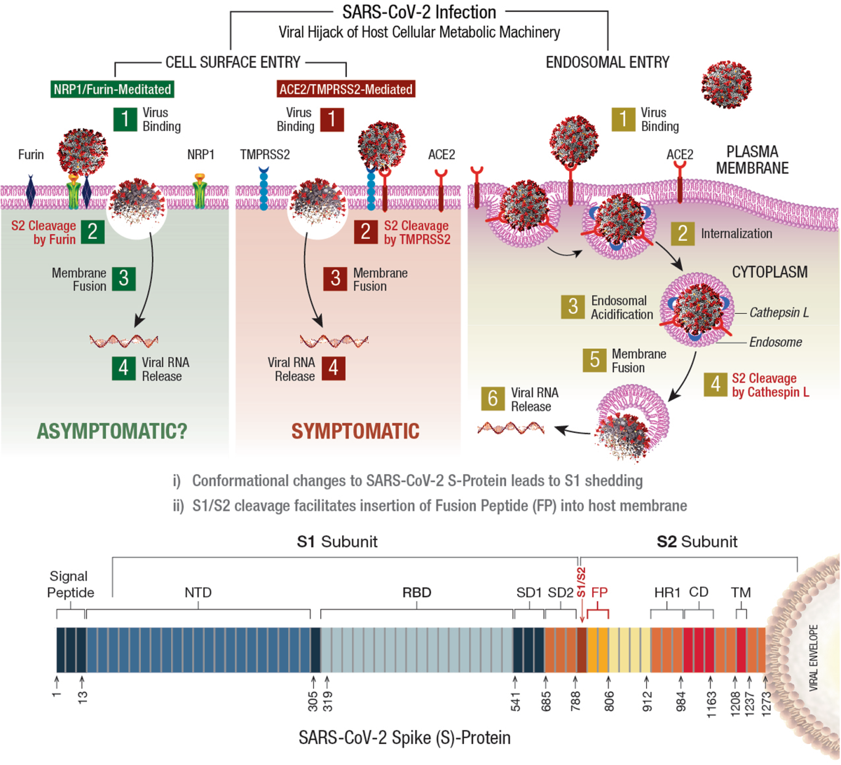 Precision nutrition to reset virus-induced human metabolic reprogramming  and dysregulation (HMRD) in long-COVID