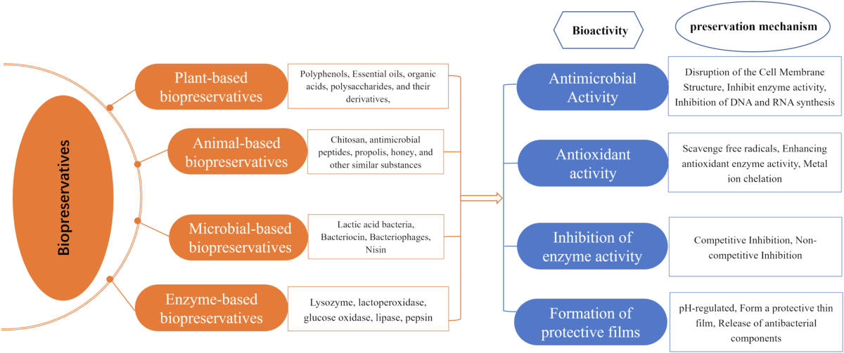 glutathione preservative free vs preserved HealthTipOfTheWeek benefits  Liposomal Glutathione Complex - 3.38
