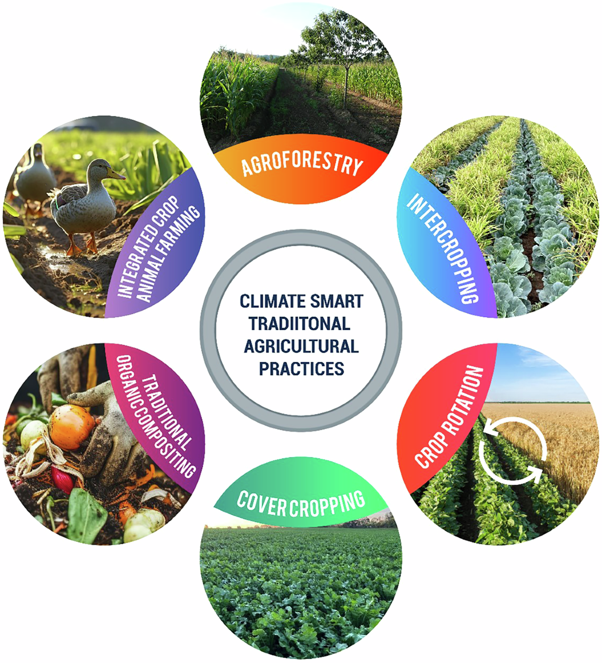 No idea genetic modification food hi-res stock photography and images -  Alamy, image size:1200x1321