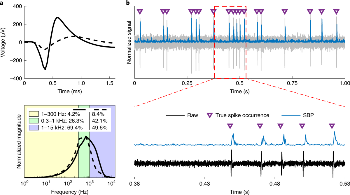 A low-power band of neuronal spiking activity dominated by local single  units improves the performance of brain–machine interfaces | Nature  Biomedical Engineering