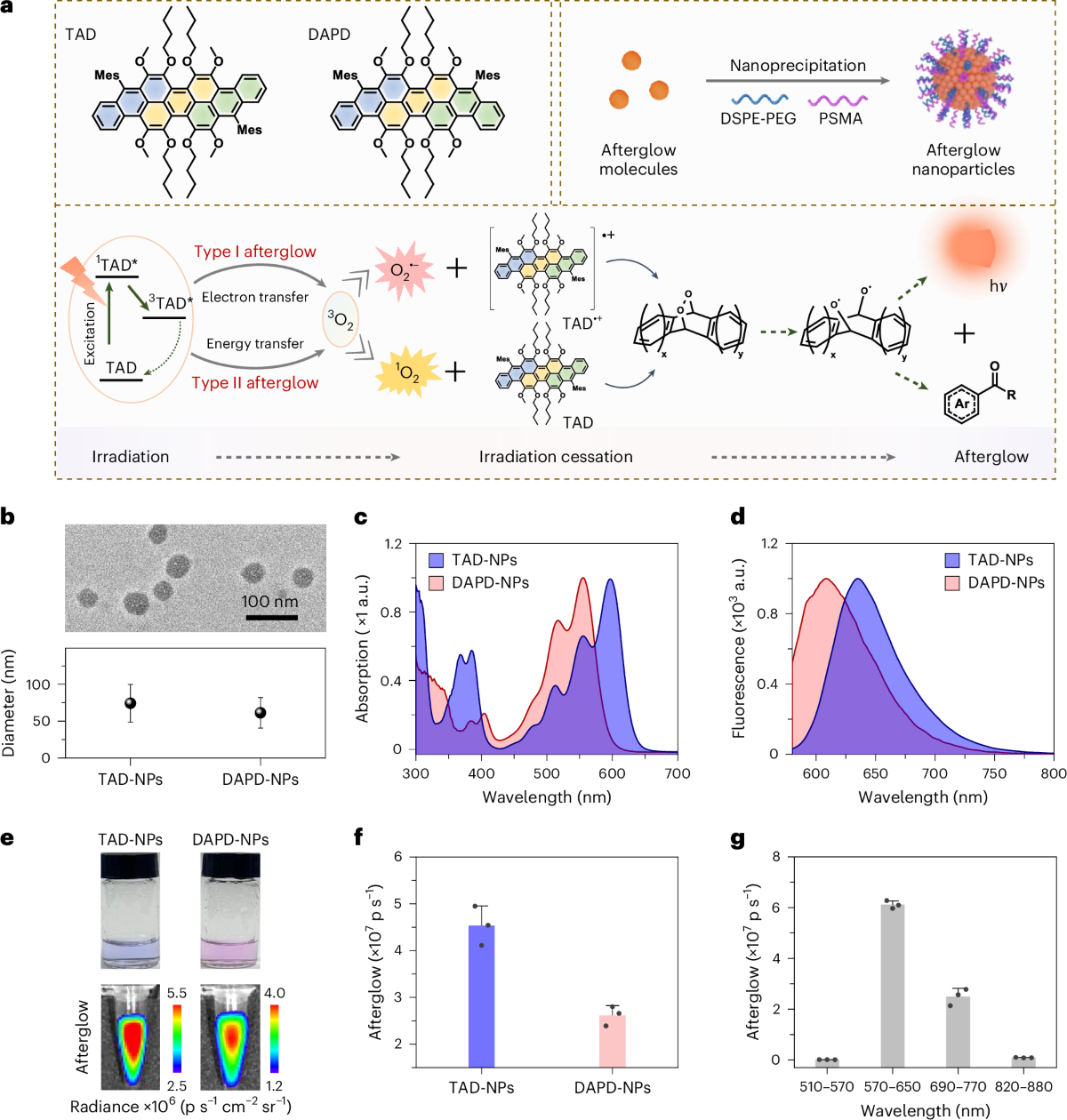 Ultrabright and ultrafast afterglow imaging in vivo via nanoparticles made  of trianthracene derivatives | Nature Biomedical Engineering