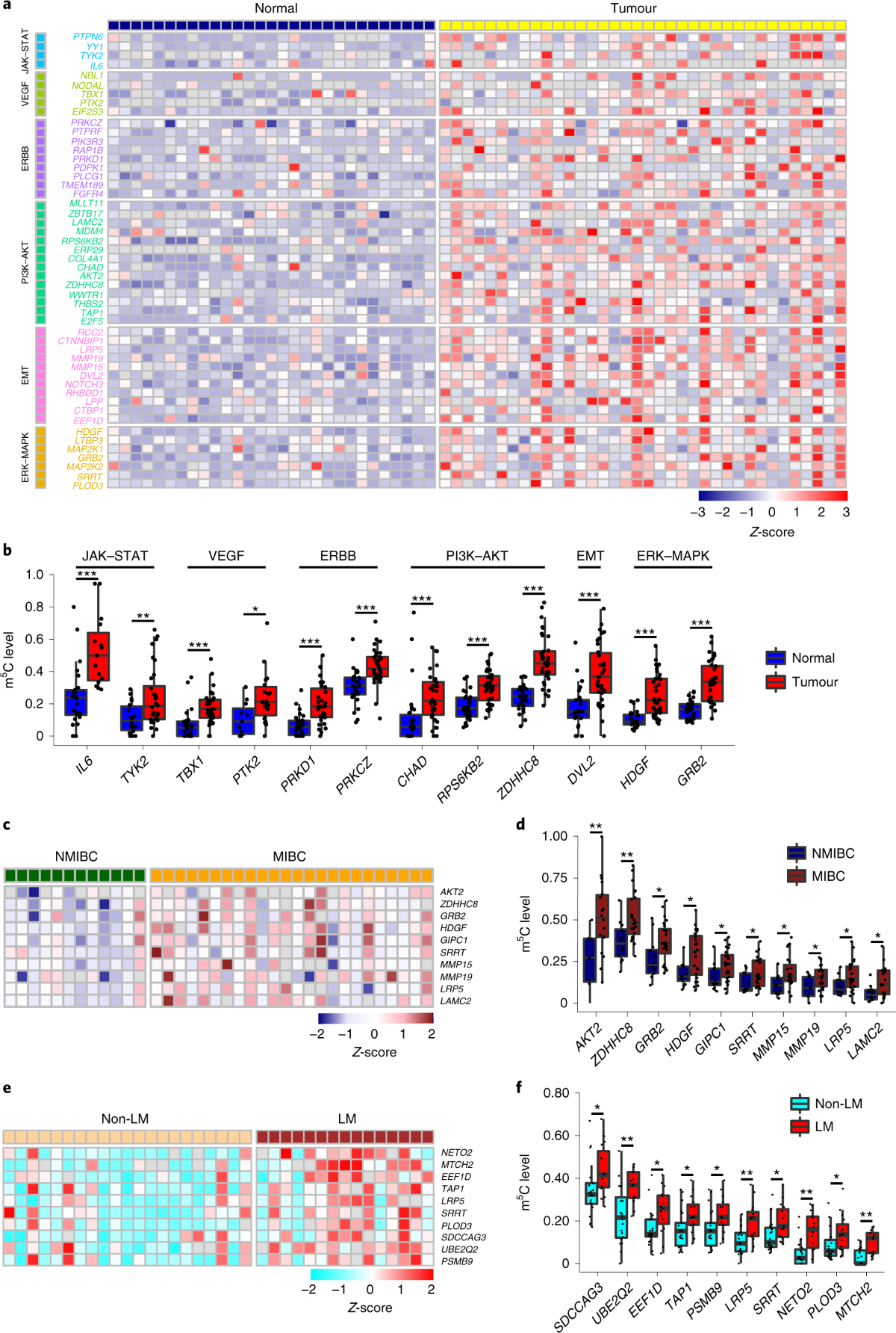 met-art.com-natalia-b-nude 5-methylcytosine promotes pathogenesis of bladder cancer through  stabilizing mRNAs | Nature Cell Biology