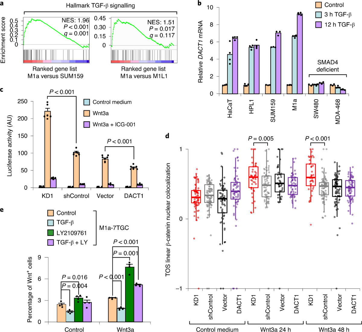 wang bit na fake nude Deepfake detection using deep learning methods: A systematic and  comprehensive review - Heidari - 2024 - WIREs Data Mining and Knowledge  Discovery - Wiley Online Library