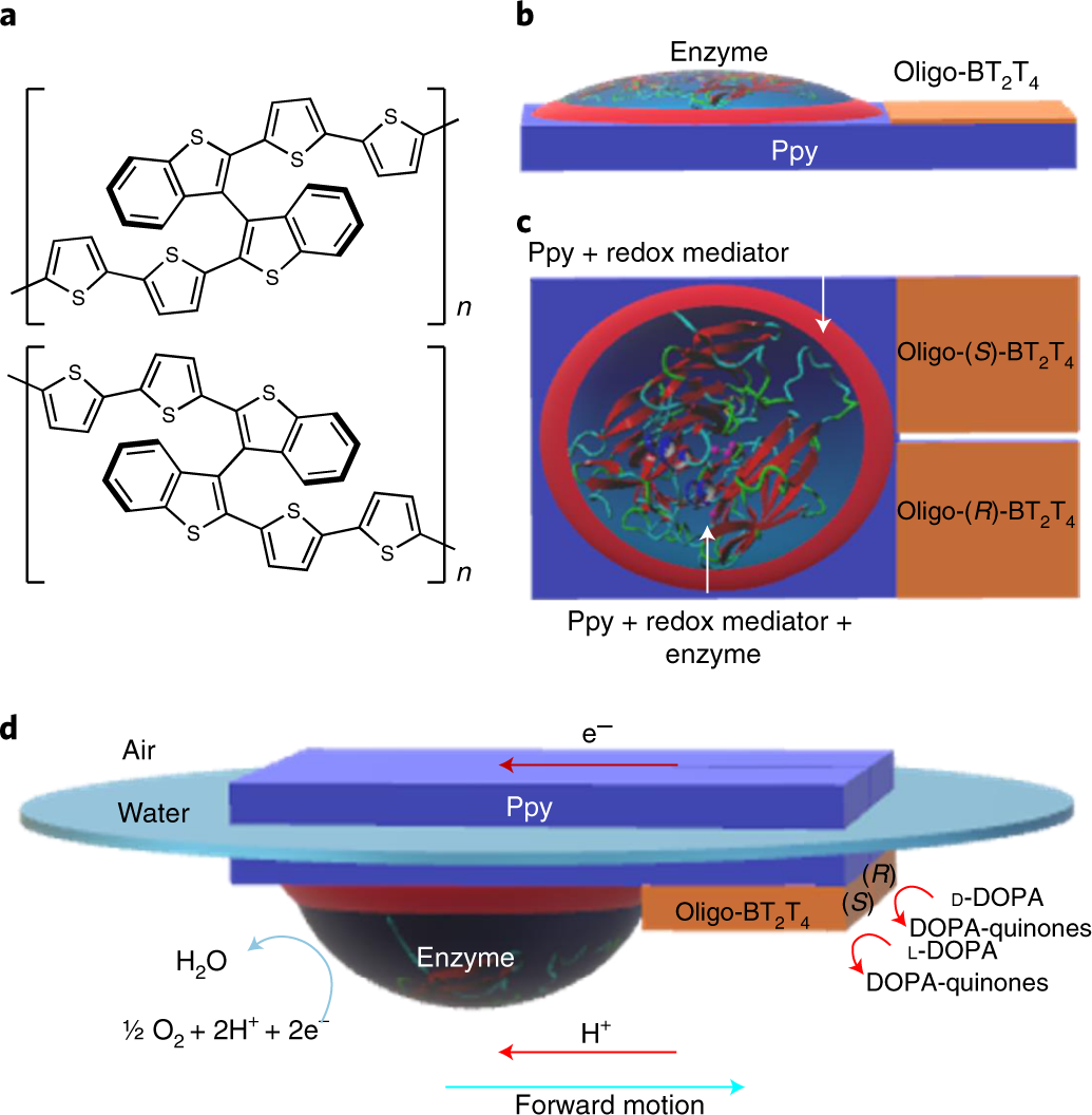 Direct dynamic read-out of molecular chirality with autonomous  enzyme-driven swimmers | Nature Chemistry