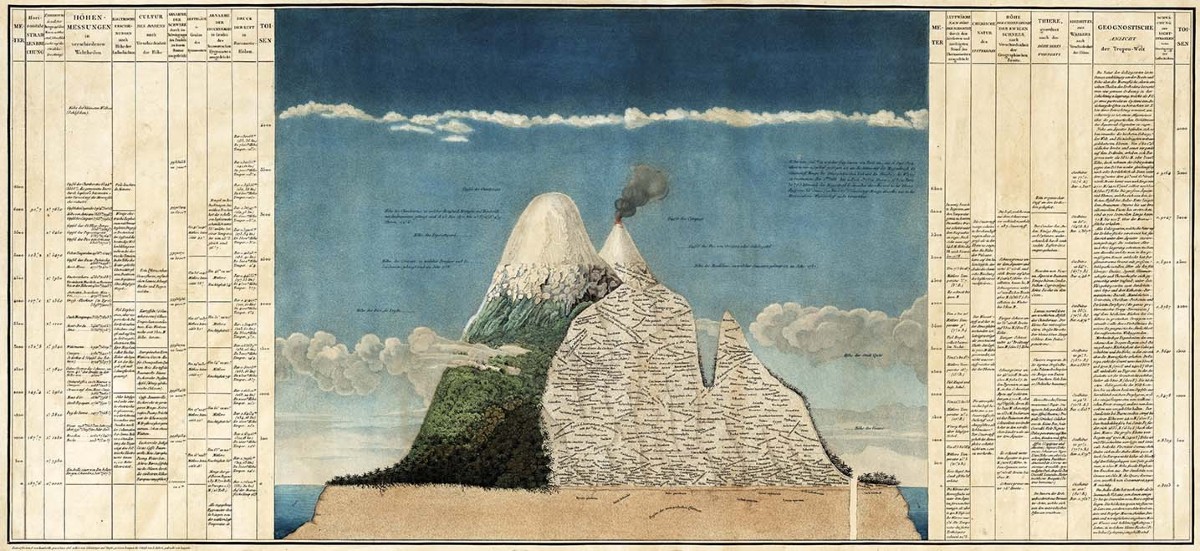Humboldt's legacy | Nature Ecology & Evolution