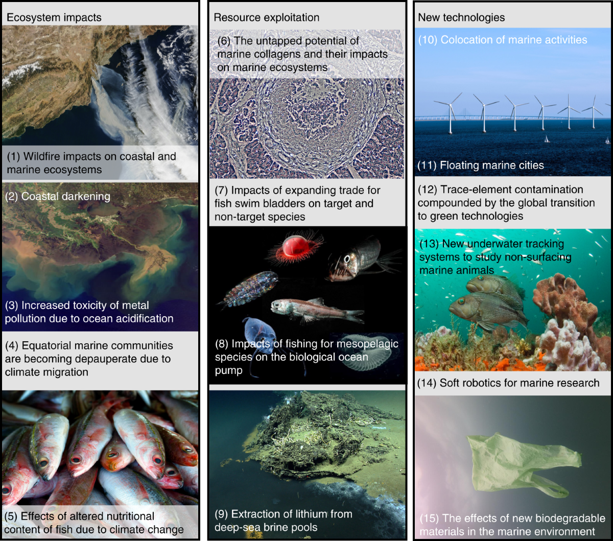 A global horizon scan of issues impacting marine and coastal 