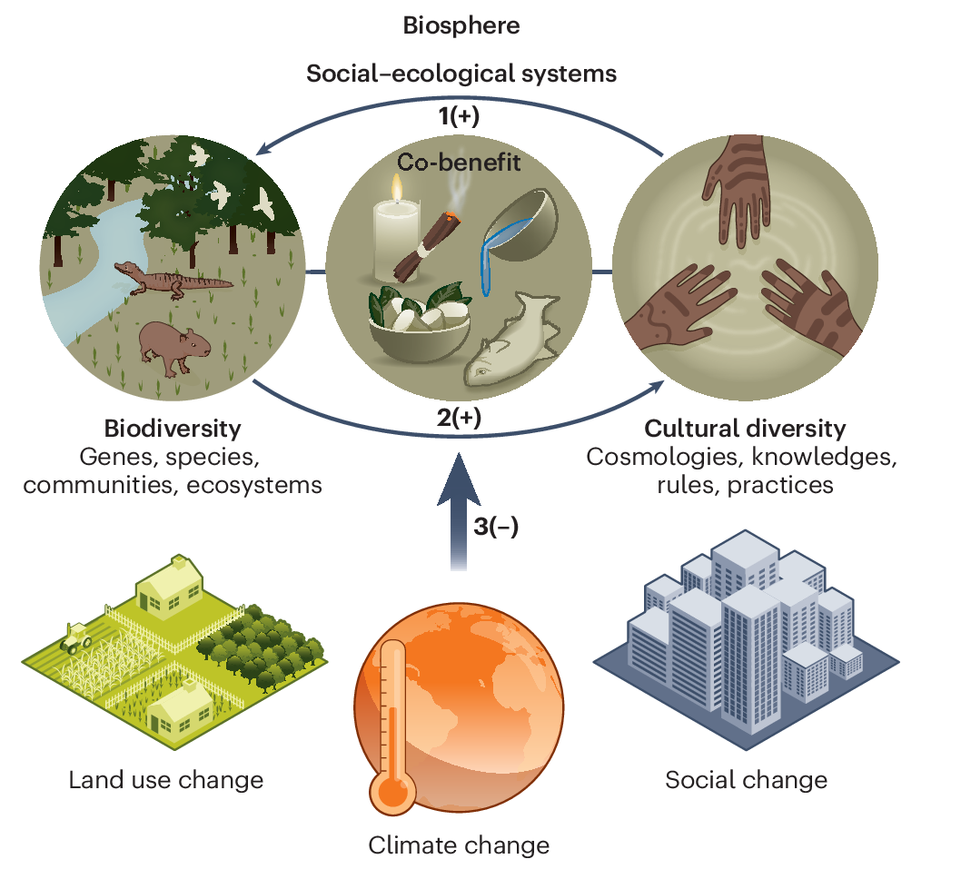 Global conservation programs showing biodiversity and human development