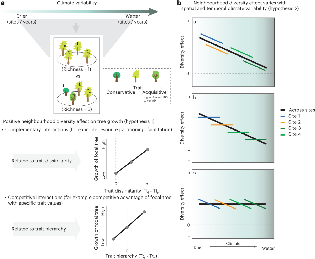 Sardinian surnames - Wikipedia, image size:1200x990
