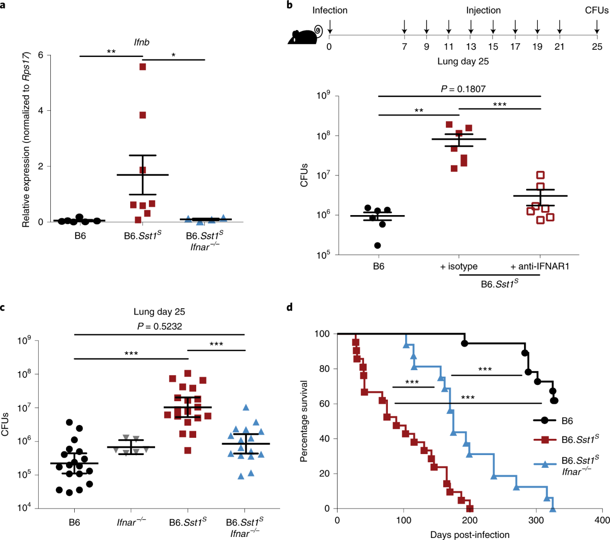 Type I interferon-driven susceptibility to Mycobacterium tuberculosis is  mediated by IL-1Ra | Nature Microbiology