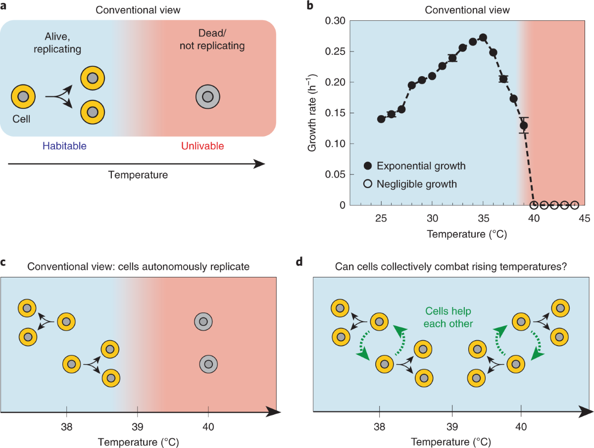 Yeasts collectively extend the limits of habitable temperatures by  secreting glutathione