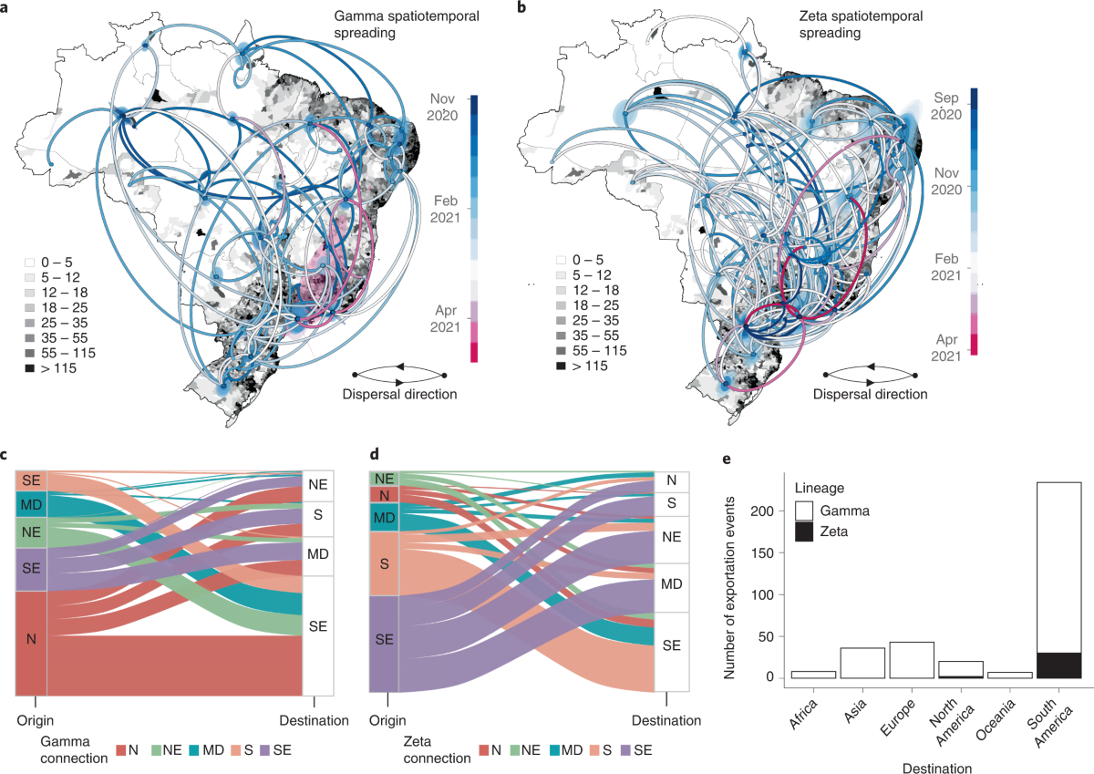 Genomic epidemiology of the SARS-CoV-2 epidemic in Brazil | Nature  Microbiology