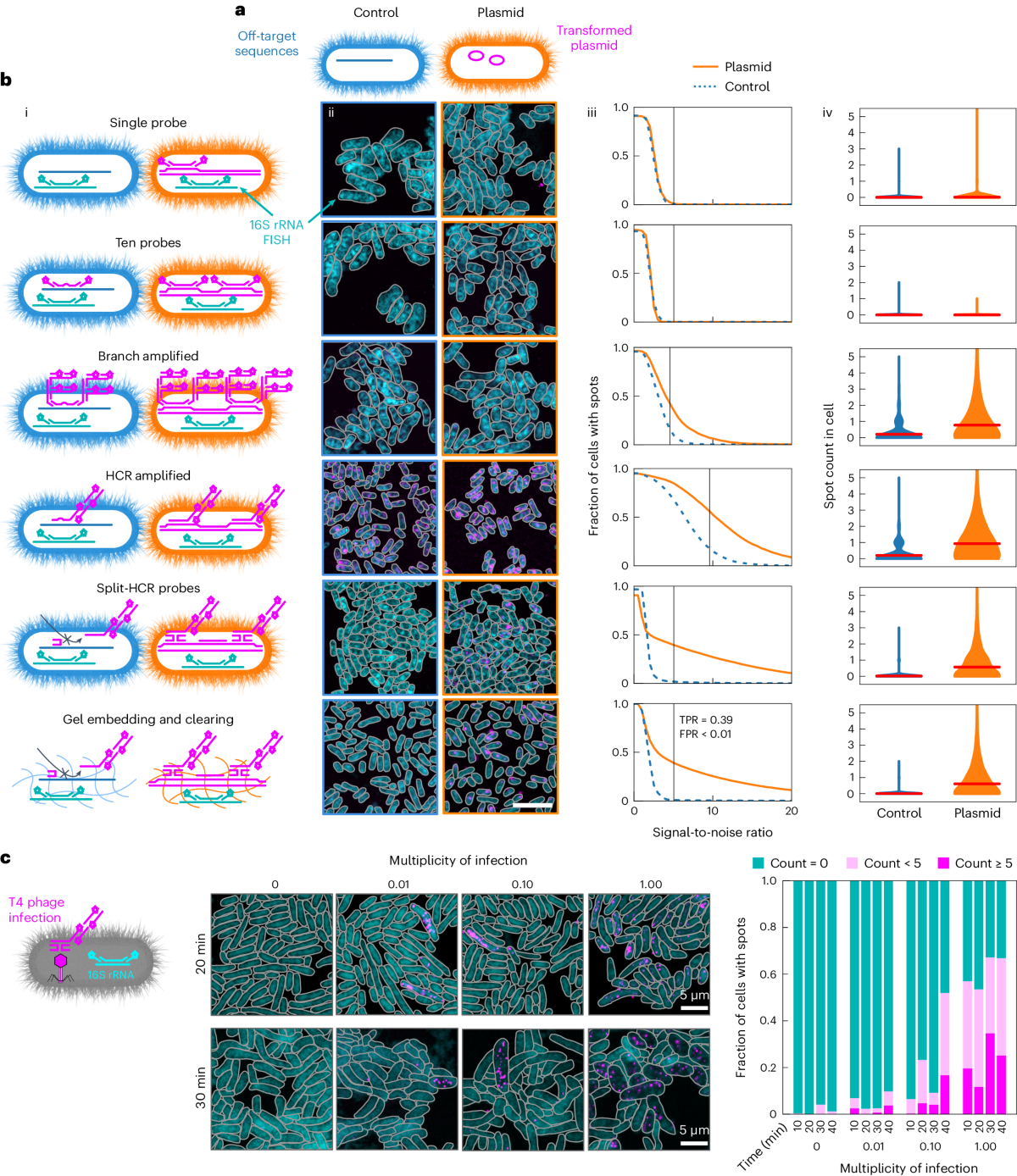Spatial mapping of mobile genetic elements and their bacterial hosts in  complex microbiomes | Nature Microbiology