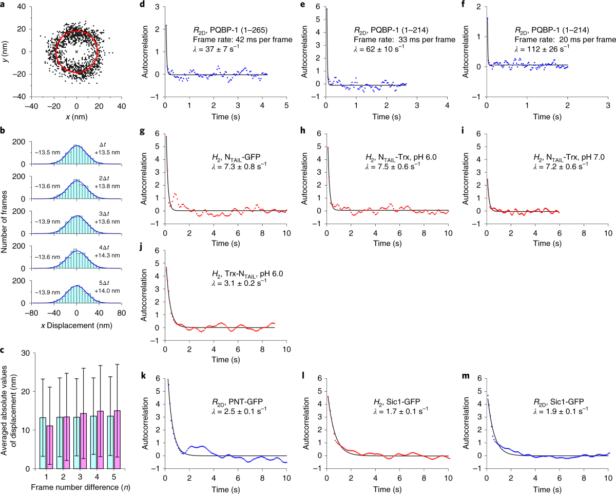 Structural and dynamics analysis of intrinsically disordered proteins by  high-speed atomic force microscopy | Nature Nanotechnology