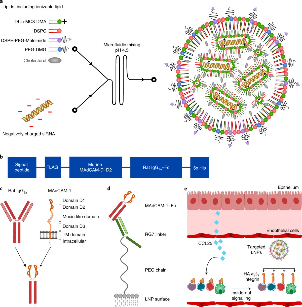 lipid nanoparticle c v Chemistry and Art of Developing Nanoparticles for Biologics Delivery: Focus on Development and Scale-Up Conformation-sensitive targeting of lipid nanoparticles