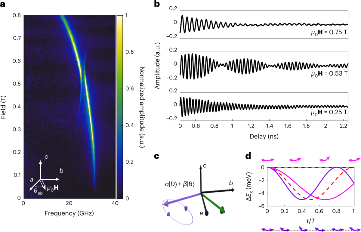 Tunable interaction between excitons and hybridized magnons in a layered  semiconductor | Nature Nanotechnology