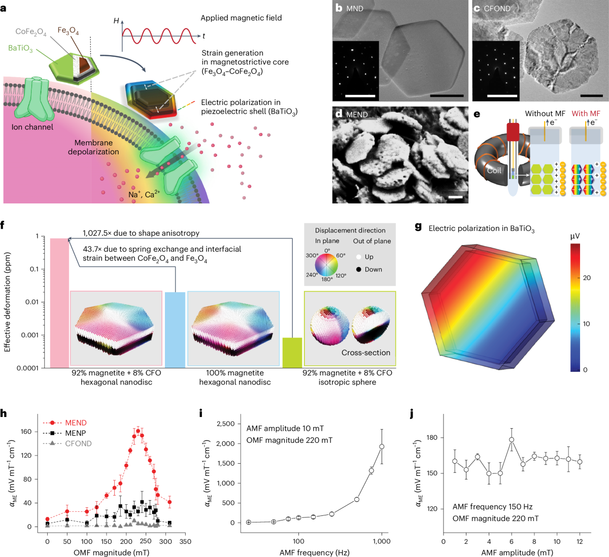 Magnetoelectric nanodiscs enable wireless transgene-free 