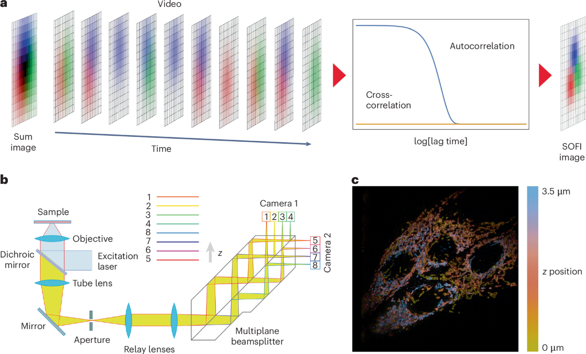 Super-resolution optical fluctuation imaging | Nature Photonics