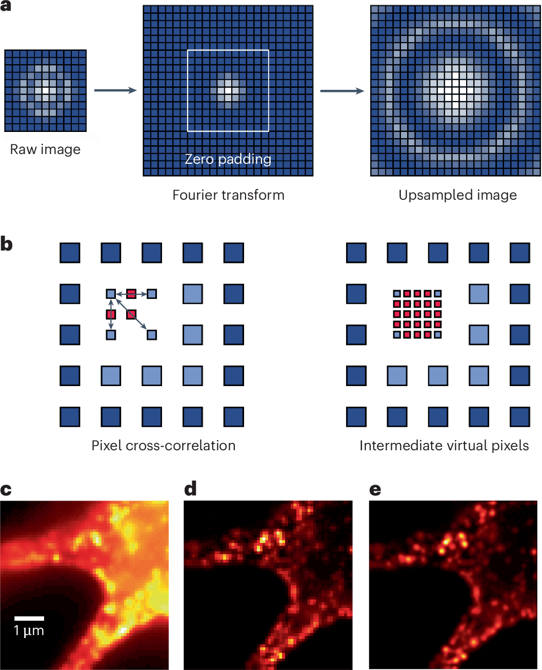 Super-resolution optical fluctuation imaging | Nature Photonics