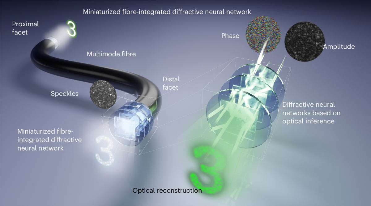 All-optical image transportation through a multimode fibre using a  miniaturized diffractive neural network on the distal facet | Nature  Photonics